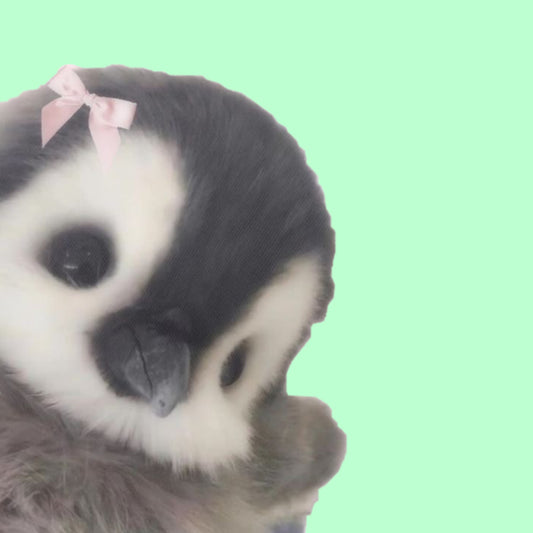 Movie of the month 𐙚⋆°🦢.⋆ᥫ᭡ - Digital Dolls